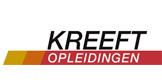 Het Nieuwe Rijden